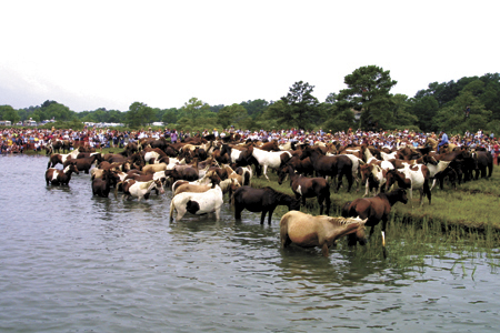 chinco01