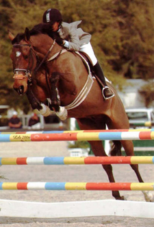 aaequestrians