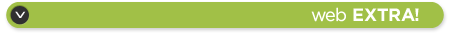 webextrabanner