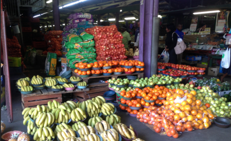The Market in the City The Market in the City