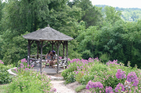 The flowers in Maymont make a  relaxing and romantic setting.