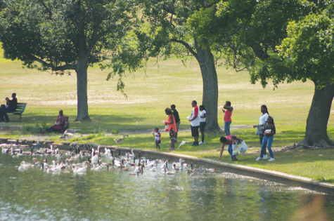 Feeding the birds at Shields Lake.