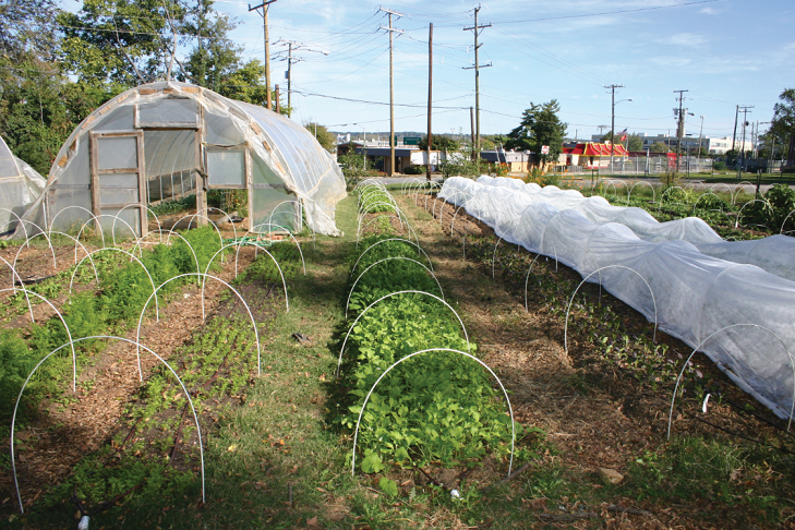 garden5