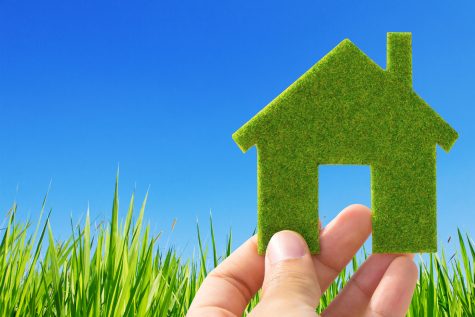 Environmentally-Friendly-Home