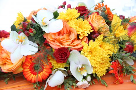 canstockphoto15495239